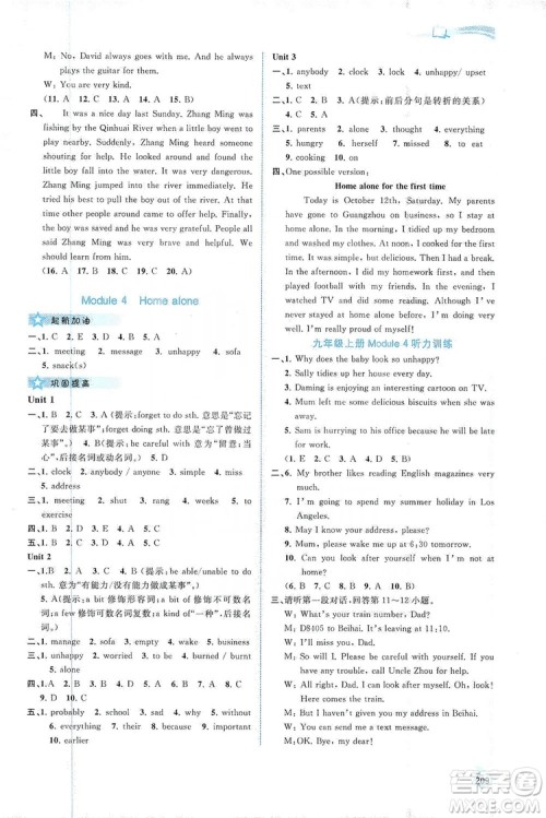 2019新课程学习与测评同步学习英语九年级全一册外研版答案