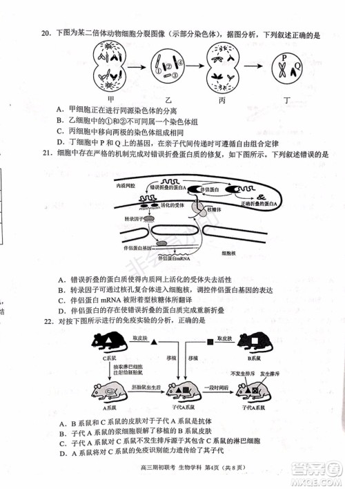 2019学年第一学期浙江七彩阳光联盟期初联考生物试题及答案 2019学年第一学期浙江七彩阳光联盟期初联考生物试题及答案