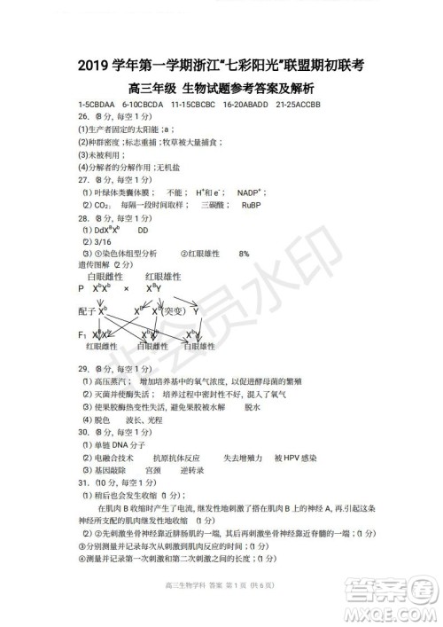 2019学年第一学期浙江七彩阳光联盟期初联考生物试题及答案 2019学年第一学期浙江七彩阳光联盟期初联考生物试题及答案