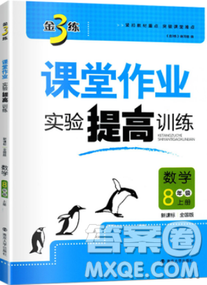 2019秋金3练课堂作业实验提高训练数学八年级上册新课标全国版参考答案 2019秋金3练课堂作业实验提高训练数学八年级上册新课标全国版参考答案