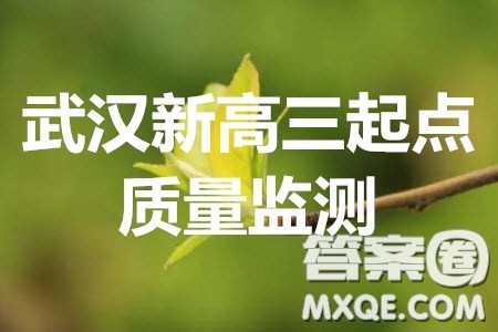 2020届武汉市高三九月调考新高三起点质量监测物理答案