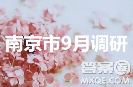 南京市2020届高三年级学情调研卷数学试题及答案 南京市2020届高三年级学情调研卷数学试题及答案