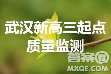 2020届武汉市高三九月调考新高三起点质量监测英语试题及答案 2020届武汉市高三九月调考新高三起点质量监测英语试题及答案