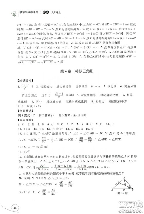 浙江教育出版社2019学习指导与评价九年级数学上册答案