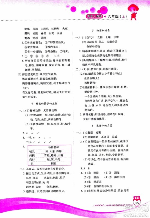 2019年新课标两导两练高效学案科学六年级上册河北人民版参考答案