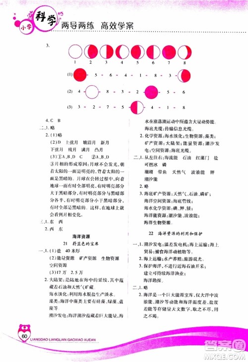 2019年新课标两导两练高效学案科学六年级上册河北人民版参考答案