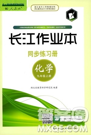 2019秋长江作业本同步练习册九年级上册化学人教版参考答案