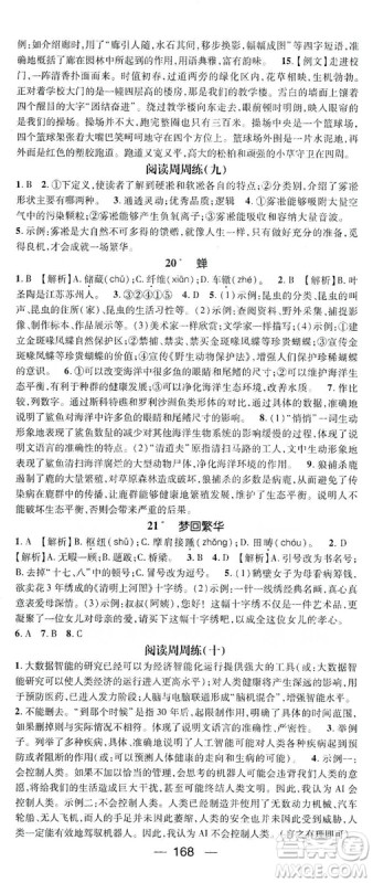鸿鹄志文化2019精英新课堂8年级语文上册人教版答案 鸿鹄志文化2019精英新课堂8年级语文上册人教版答案