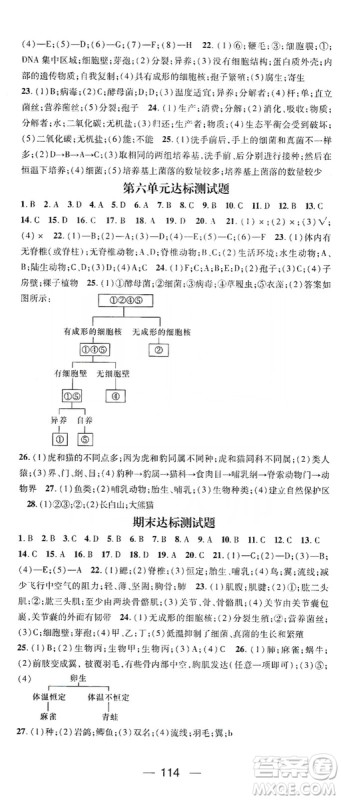 鸿鹄志文化2019精英新课堂8年级生物上册人教版答案