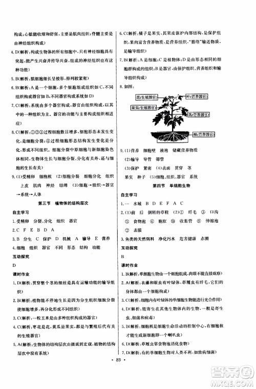 2019版长江全能学案同步练习册初中七年级上册生物学人教版参考答案 2019版长江全能学案同步练习册初中七年级上册生物学人教版参考答案