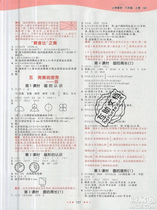 2019年53天天练小学数学六年级上册青岛版参考答案