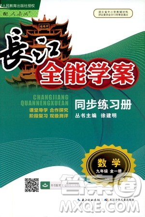 2019新版长江全能学案同步练习册数学九年级全一册人教版参考答案