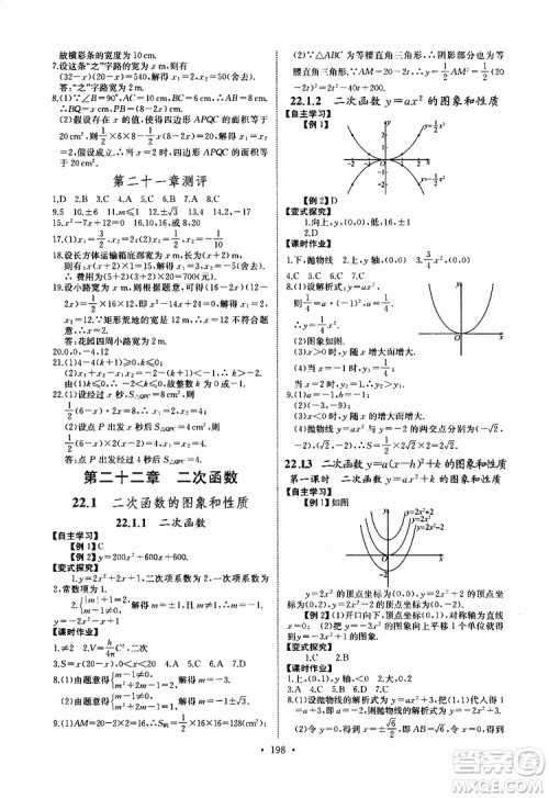 2019新版长江全能学案同步练习册数学九年级全一册人教版参考答案