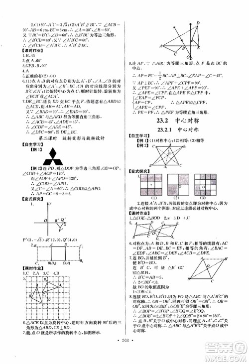 2019新版长江全能学案同步练习册数学九年级全一册人教版参考答案