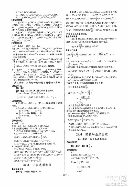 2019新版长江全能学案同步练习册数学九年级全一册人教版参考答案