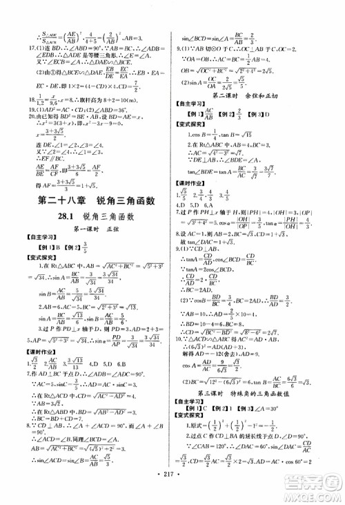 2019新版长江全能学案同步练习册数学九年级全一册人教版参考答案