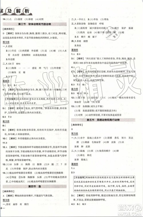 2019年状元成才路创优作业生物八年级上册R人教版参考答案