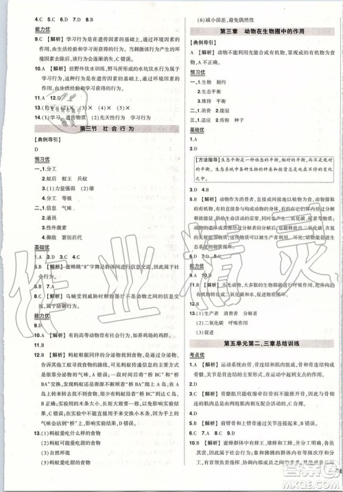 2019年状元成才路创优作业生物八年级上册R人教版参考答案