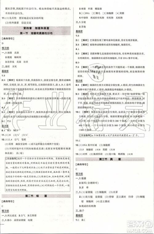 2019年状元成才路创优作业生物八年级上册R人教版参考答案 2019年状元成才路创优作业生物八年级上册R人教版参考答案