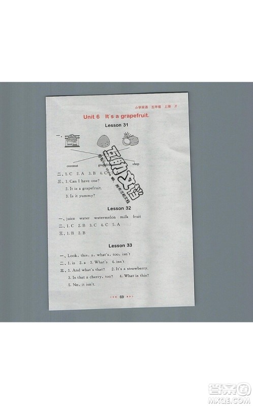 2019年53随堂测小学英语五年级上册精通版参考答案
