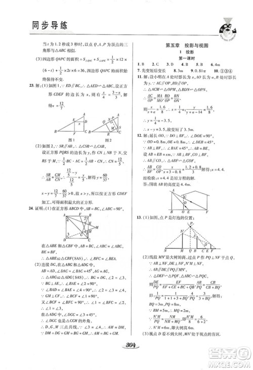 陕西科学技术出版社2019新课标教材同步导练九年级数学全一册答案