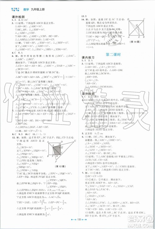 北京师范大学出版社2019年伴你学数学九年级上册北师大版参考答案