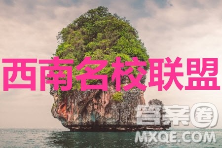 2020届西南名校联盟高考适应性月考卷二英语试题及参考答案 2020届西南名校联盟高考适应性月考卷二英语试题及参考答案