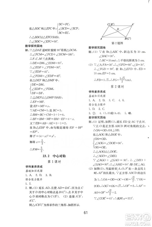 山东教育出版社2019初中基础训练九年级数学全一册人教版答案
