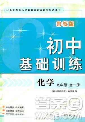 山东教育出版社2019初中基础训练九年级化学全一册人教版答案