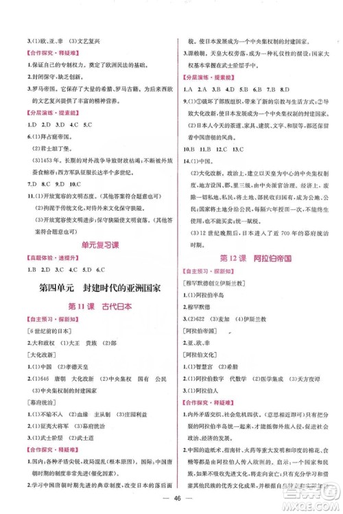 同步学历案课时练2019九年级世界历史人教版答案