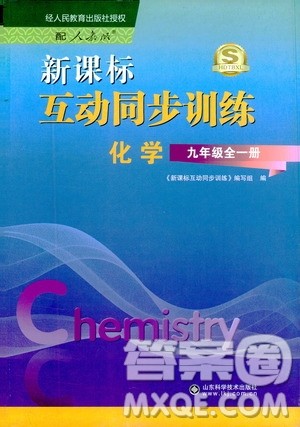 2019新课标互动同步训练九年级化学全一册人教版答案