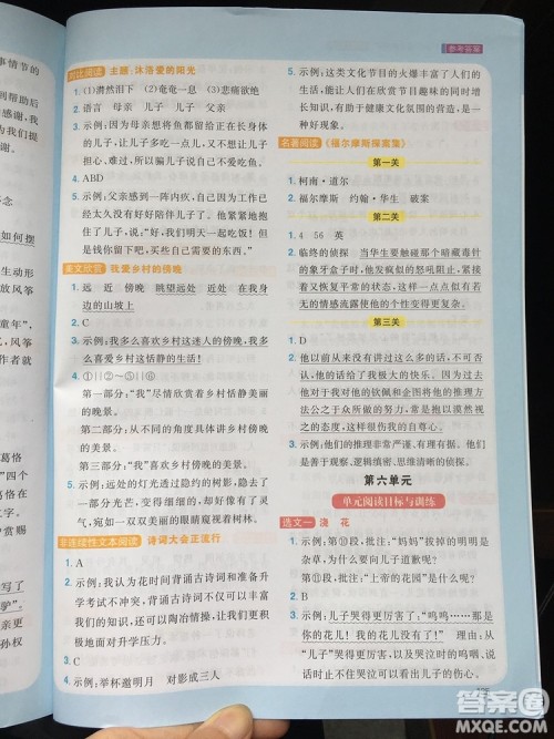 2019年阳光同学同步阅读素养测试小学语文四年级上册参考答案