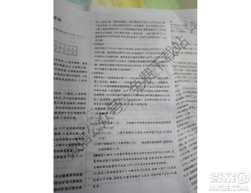 国考一号2020届高中毕业班测试理科综合答案 国考一号2020届高中毕业班测试理科综合答案