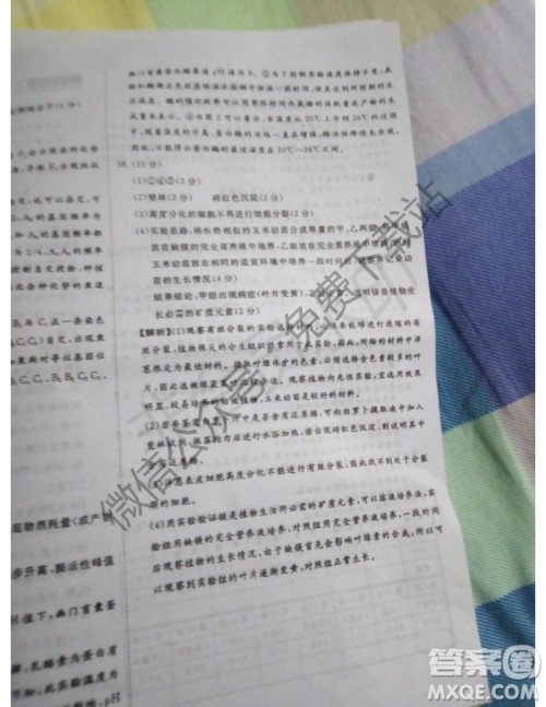 国考一号2020届高中毕业班测试理科综合答案 国考一号2020届高中毕业班测试理科综合答案