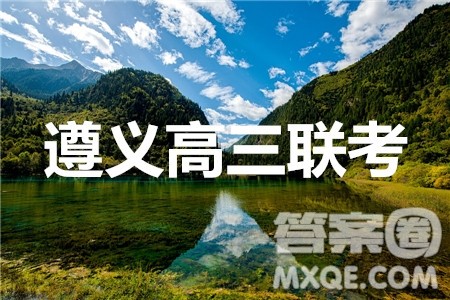 遵义市2020届高三第一次联考文理数答案 遵义市2020届高三第一次联考文理数答案