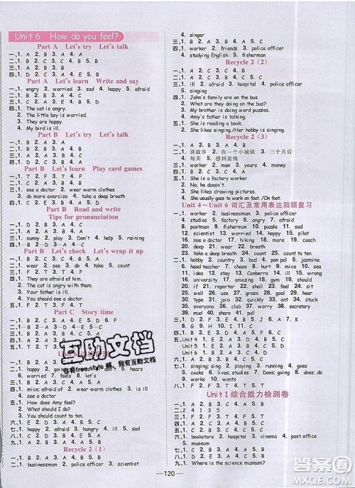 2019年阳光同学课时优化作业六年级英语上册人教版参考答案 2019年阳光同学课时优化作业六年级英语上册人教版参考答案