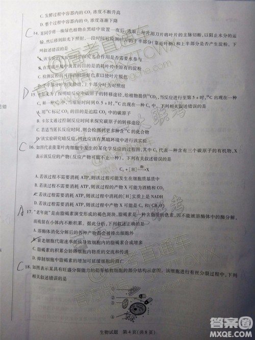 2020届天一大联考高三一联Q皖豫联盟生物试题及参考答案