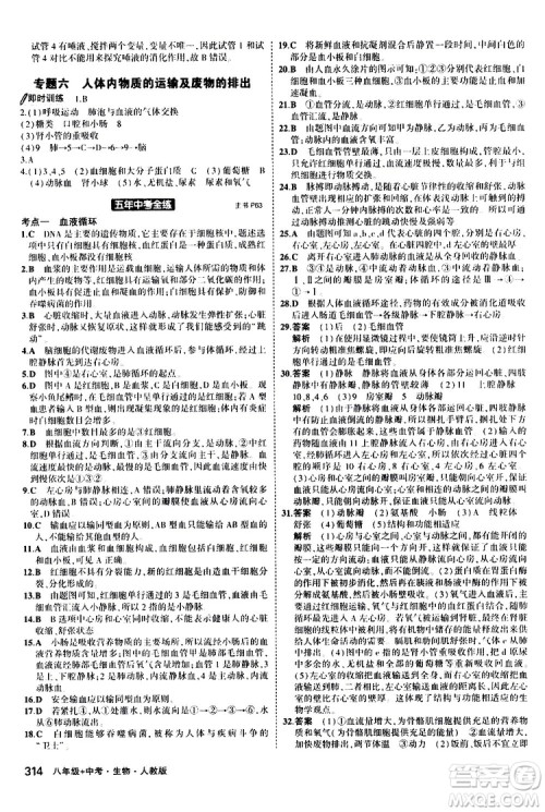 2020版5年中考3年模拟八年级+中考生物人教版新中考专用参考答案