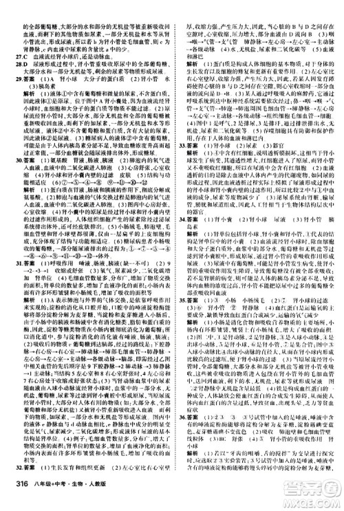 2020版5年中考3年模拟八年级+中考生物人教版新中考专用参考答案