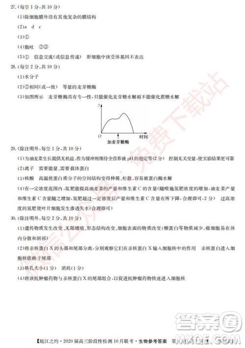 皖江之约2020届高三阶段性检测10月联考生物答案