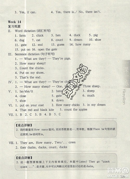 2019年华东师大版一课一练三年级英语第一学期N版增强版参考答案