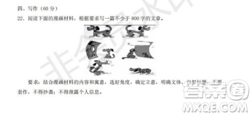 两只狗照镜子漫画作文 关于两只狗照镜子的漫画作文800字 两只狗照镜子漫画作文 关于两只狗照镜子的漫画作文800字