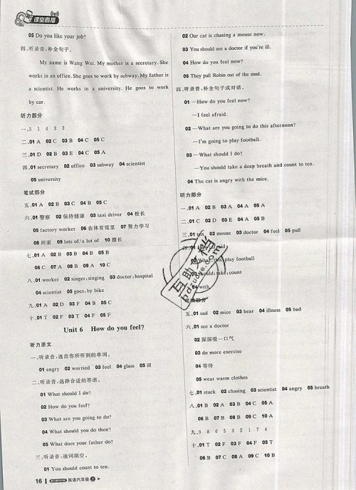 2019年1加1轻巧夺冠课堂直播六年级英语上册人教PEP版参考答案 2019年1加1轻巧夺冠课堂直播六年级英语上册人教PEP版参考答案