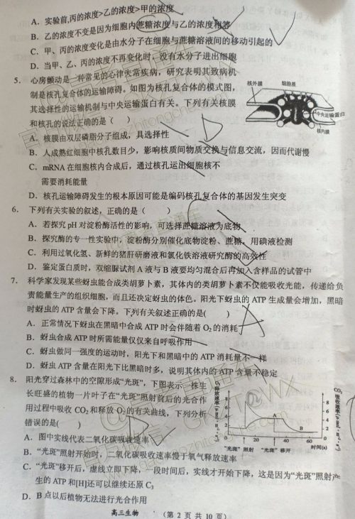 大同市2020届高三年级第一次联合考试市直生物试题及参考答案 大同市2020届高三年级第一次联合考试市直生物试题及参考答案