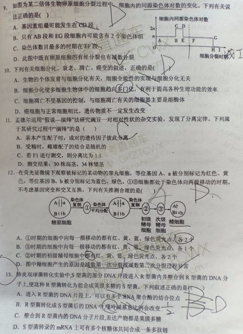 大同市2020届高三年级第一次联合考试市直生物试题及参考答案 大同市2020届高三年级第一次联合考试市直生物试题及参考答案