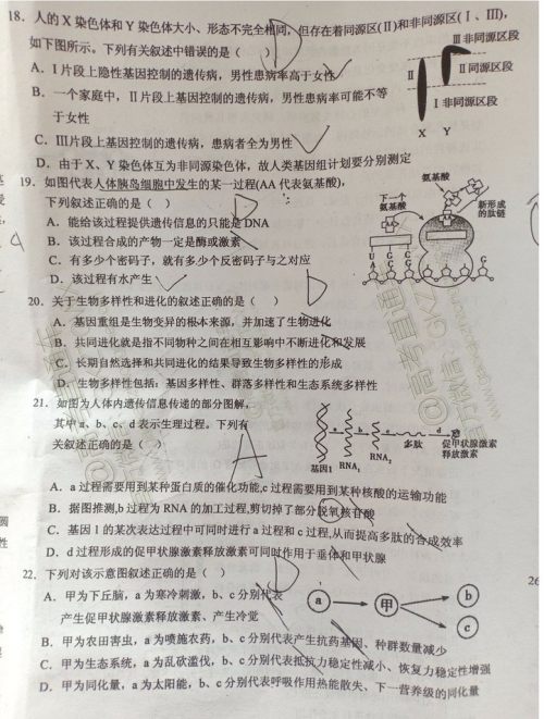 大同市2020届高三年级第一次联合考试市直生物试题及参考答案