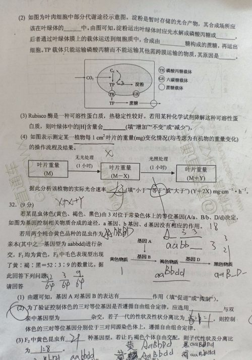 大同市2020届高三年级第一次联合考试市直生物试题及参考答案