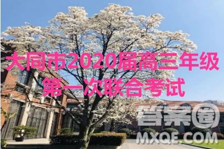 大同市2020届高三年级第一次联合考试市直政治试题及参考答案