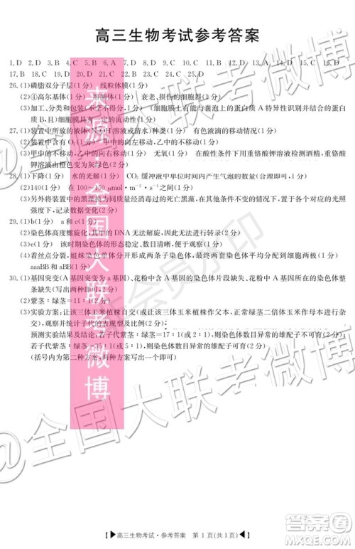 2020届湖北金太阳百校联考高三10月联考生物答案