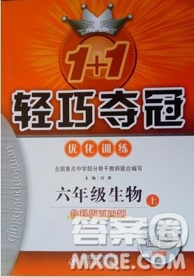 1加1轻巧夺冠优化训练六年级生物上册鲁科版五四制银版2019年秋参考答案 1加1轻巧夺冠优化训练六年级生物上册鲁科版五四制银版2019年秋参考答案